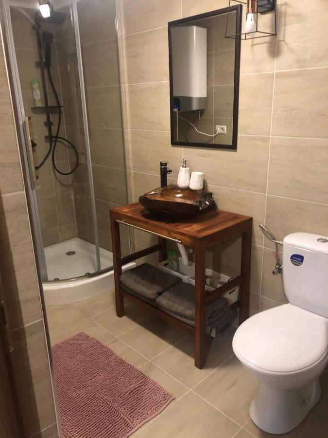 Domeniul Horj Casa Din Deal มุยเซ ภายนอก รูปภาพ