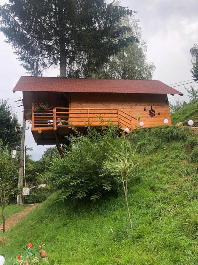 Domeniul Horj Casa Din Deal มุยเซ ภายนอก รูปภาพ