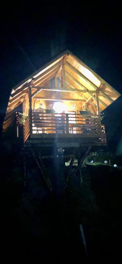 Domeniul Horj Casa Din Deal มุยเซ ภายนอก รูปภาพ