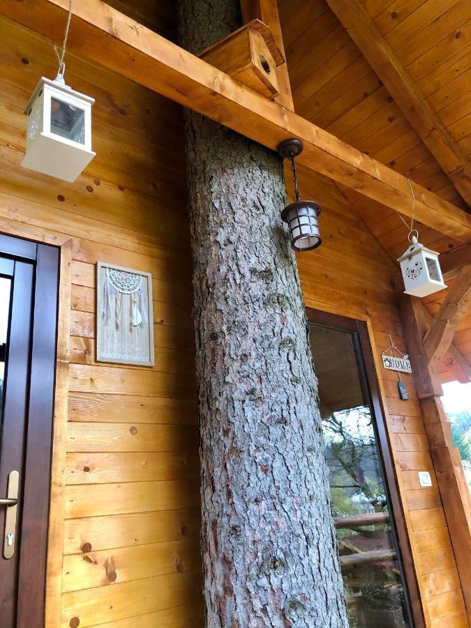Domeniul Horj Casa Din Deal มุยเซ ภายนอก รูปภาพ
