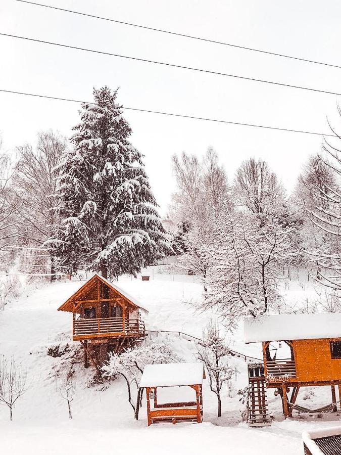 Domeniul Horj Casa Din Deal มุยเซ ภายนอก รูปภาพ
